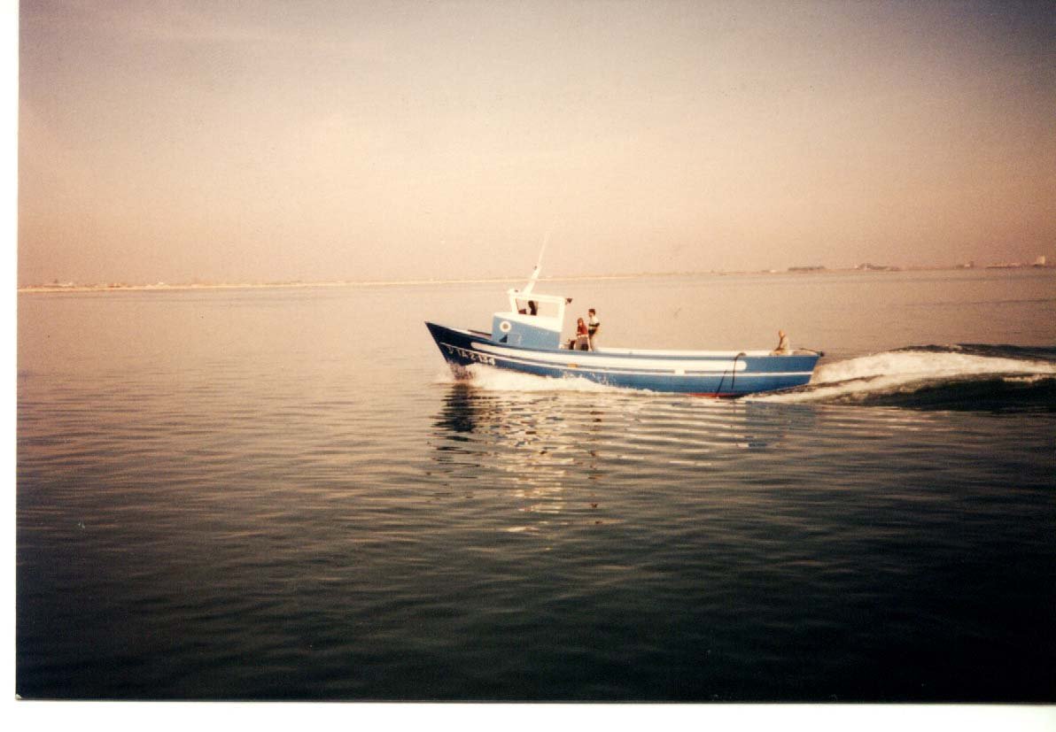 Imagen de Capitol 6 - 1994